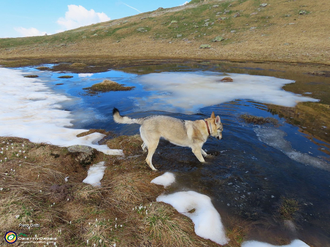 18 Bella fresca quest'acqua con la neve.JPG
